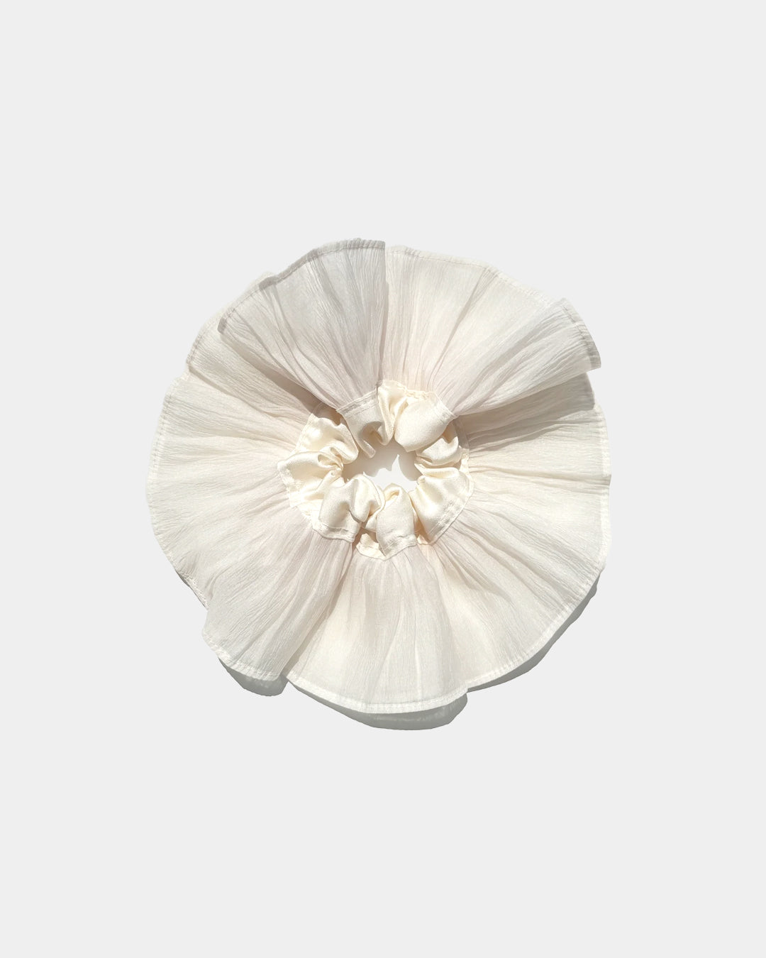 Camellia Bloom